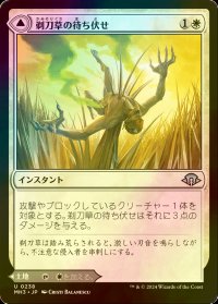 [FOIL] 剃刀草の待ち伏せ/Razorgrass Ambush 【日本語版】 [MH3-白U]