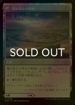 画像2: [FOIL] 魔女の結界師/Witch Enchanter 【日本語版】 [MH3-白U]