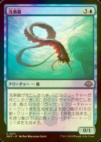 [FOIL] 浅瀬蟲/Reef Worm 【日本語版】 [MH3-青U]