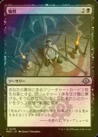 [FOIL] 犠牲/Victimize 【日本語版】 [MH3-黒U]