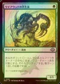 [FOIL] ワイアウッドの共生虫/Wirewood Symbiote 【日本語版】 [MH3-緑U]