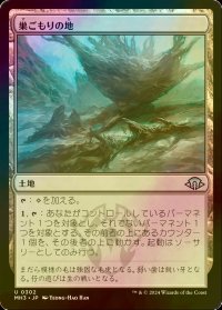 [FOIL] 巣ごもりの地/Nesting Grounds 【日本語版】 [MH3-土地U]