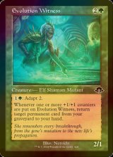 [FOIL] 進化の証人/Evolution Witness (旧枠) 【英語版】 [MH3-緑C]