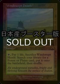 [FOIL] 吹きさらしの荒野/Windswept Heath ● (旧枠・日本産ブースター版) 【英語版】 [MH3-土地R]