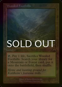 [FOIL] 樹木茂る山麓/Wooded Foothills (旧枠・海外産ブースター版) 【英語版】 [MH3-土地R]