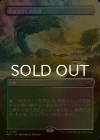 [FOIL] 吹きさらしの荒野/Windswept Heath (全面アート・海外産ブースター版) 【日本語版】 [MH3-土地R]