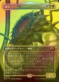 [FOIL] 屍花/The Necrobloom (全面アート・海外産ブースター版) 【日本語版】 [MH3-金R]