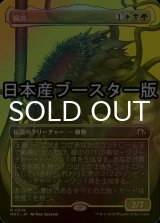 [FOIL] 屍花/The Necrobloom ● (全面アート・日本産ブースター版) 【日本語版】 [MH3-金R]