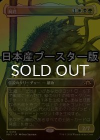 [FOIL] 屍花/The Necrobloom ● (全面アート・日本産ブースター版) 【日本語版】 [MH3-金R]