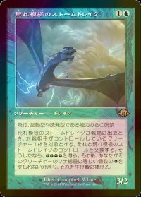 [FOIL] 荒れ模様のストームドレイク/Volatile Stormdrake (旧枠・海外産ブースター版) 【日本語版】 [MH3-青R]