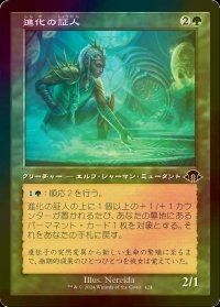 [FOIL] 進化の証人/Evolution Witness (旧枠) 【日本語版】 [MH3-緑C]