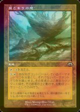 [FOIL] 巣ごもりの地/Nesting Grounds (旧枠) 【日本語版】 [MH3-土地U]
