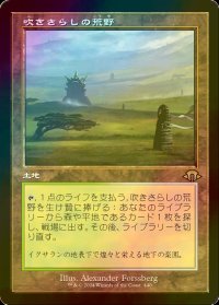 [FOIL] 吹きさらしの荒野/Windswept Heath (旧枠・海外産ブースター版) 【日本語版】 [MH3-土地R]