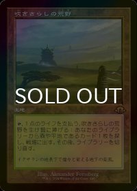 [FOIL] 吹きさらしの荒野/Windswept Heath (旧枠・海外産ブースター版) 【日本語版】 [MH3-土地R]