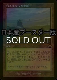 [FOIL] 吹きさらしの荒野/Windswept Heath ● (旧枠・日本産ブースター版) 【日本語版】 [MH3-土地R]