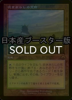 画像1: [FOIL] 吹きさらしの荒野/Windswept Heath ● (旧枠・日本産ブースター版) 【日本語版】 [MH3-土地R]