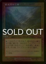 [FOIL] 樹木茂る山麓/Wooded Foothills (旧枠・海外産ブースター版) 【日本語版】 [MH3-土地R]