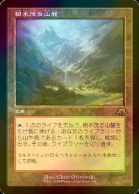 [FOIL] 樹木茂る山麓/Wooded Foothills (旧枠・海外産ブースター版) 【日本語版】 [MH3-土地R]