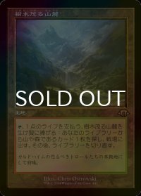 [FOIL] 樹木茂る山麓/Wooded Foothills (旧枠・海外産ブースター版) 【日本語版】 [MH3-土地R]