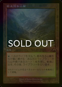 画像1: [FOIL] 樹木茂る山麓/Wooded Foothills (旧枠・海外産ブースター版) 【日本語版】 [MH3-土地R]
