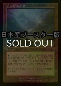 [FOIL] 樹木茂る山麓/Wooded Foothills ● (旧枠・日本産ブースター版) 【日本語版】 [MH3-土地R]