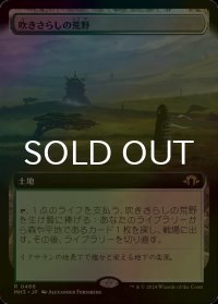 [FOIL] 吹きさらしの荒野/Windswept Heath (拡張アート版) 【日本語版】 [MH3-土地R]