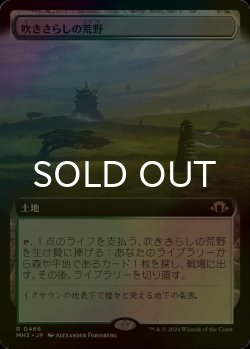 画像1: [FOIL] 吹きさらしの荒野/Windswept Heath (拡張アート版) 【日本語版】 [MH3-土地R]