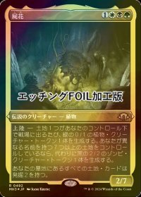[FOIL] 屍花/The Necrobloom (エッチング仕様) 【日本語版】 [MH3-金R]