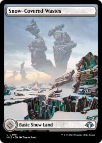 冠雪の荒地/Snow-Covered Wastes (全面アート版) 【英語版】 [MH3-土地U]