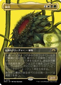屍花/The Necrobloom (全面アート版) 【日本語版】 [MH3-金R]