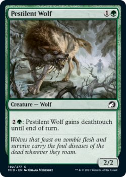 画像1: 伝染病の狼/Pestilent Wolf 【英語版】 [MID-緑C]