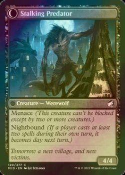 画像2: [FOIL] 不審な旅行者/Shady Traveler 【英語版】 [MID-黒C]