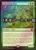 [FOIL] 消化の泥塊/Consuming Blob ● (日本産ブースター版) 【英語版】 [MID-緑MR]