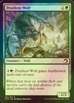 画像1: [FOIL] 伝染病の狼/Pestilent Wolf 【英語版】 [MID-緑C]