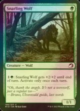 [FOIL] うなる狼/Snarling Wolf 【英語版】 [MID-緑C]