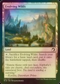 [FOIL] 進化する未開地/Evolving Wilds 【英語版】 [MID-土地C]