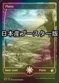 画像1: [FOIL] 平地/Plains No.268 ● (日本産ブースター版) 【英語版】 [MID-土地C]