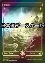 [FOIL] 平地/Plains No.269 ● (日本産ブースター版) 【英語版】 [MID-土地C]