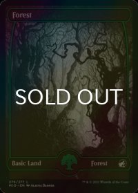 [FOIL] 森/Forest No.276 (海外産ブースター版) 【英語版】 [MID-土地C]