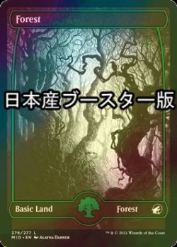 画像1: [FOIL] 森/Forest No.276 ● (日本産ブースター版) 【英語版】 [MID-土地C]