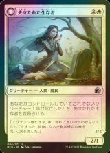 [FOIL] 先立たれた生存者/Bereaved Survivor 【日本語版】 [MID-白U]