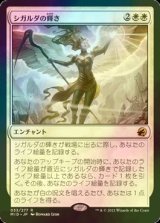 [FOIL] シガルダの輝き/Sigarda's Splendor 【日本語版】 [MID-白R]