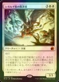 [FOIL] シガルダ教の救済者/Sigardian Savior (海外産ブースター版) 【日本語版】 [MID-白MR]