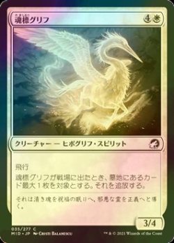 画像1: [FOIL] 魂標グリフ/Soul-Guide Gryff 【日本語版】 [MID-白C]