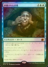 [FOIL] 移植された自我/Grafted Identity 【日本語版】 [MID-青R]