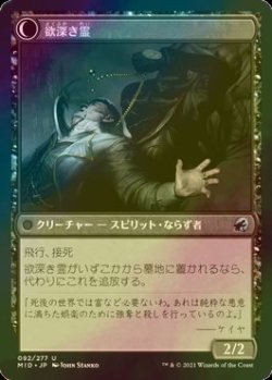 画像2: [FOIL] 思慮深き巾着切り/Covert Cutpurse 【日本語版】 [MID-黒U]