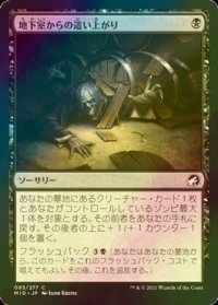 [FOIL] 地下室からの這い上がり/Crawl from the Cellar 【日本語版】 [MID-黒C]