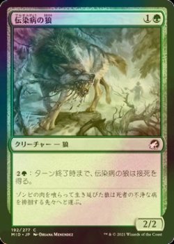 画像2: [FOIL] 先祖伝来の鏡/Heirloom Mirror 【日本語版】 [MID-黒U]