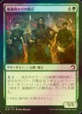 [FOIL] 蝋燭明かりの騎兵/Candlelit Cavalry 【日本語版】 [MID-緑C]