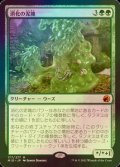 [FOIL] 消化の泥塊/Consuming Blob (海外産ブースター版) 【日本語版】 [MID-緑MR]